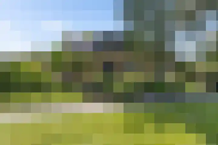 Groenedijk 12 Sneek thumbnail 44