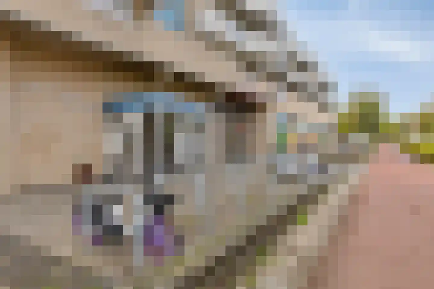 Groenedijk 121 Breda thumbnail 27