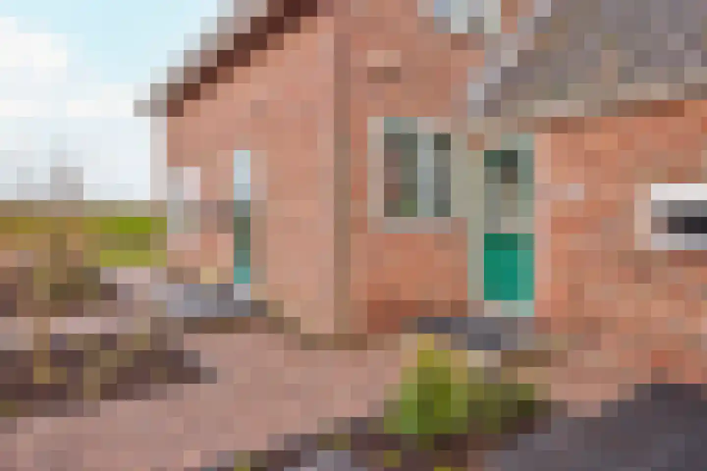 Groenedijk 2 Oost-Graftdijk thumbnail 10