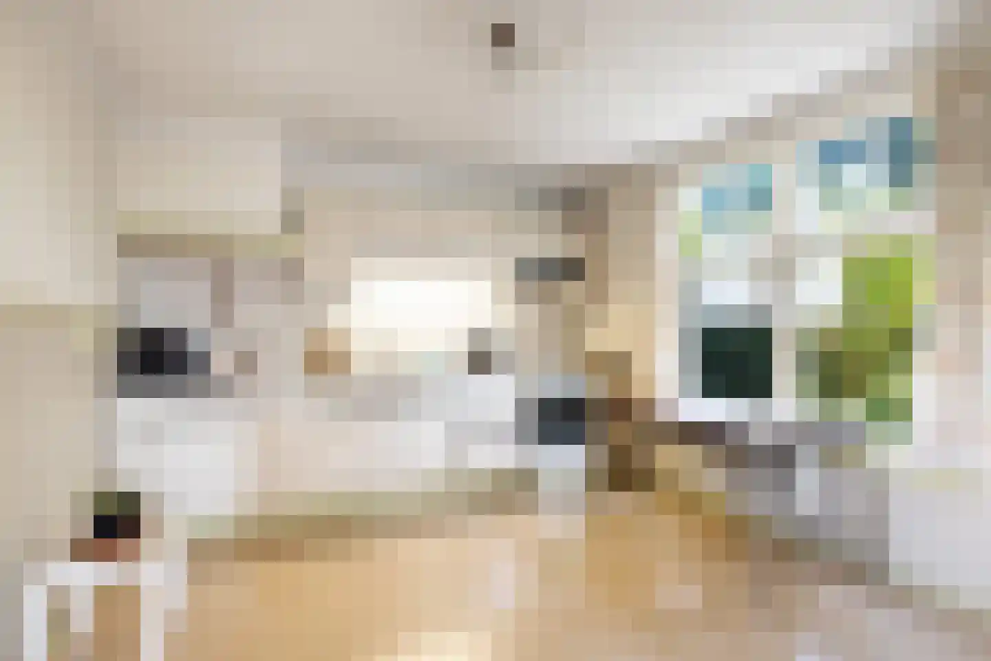 Groenedijk 20 Utrecht thumbnail 10