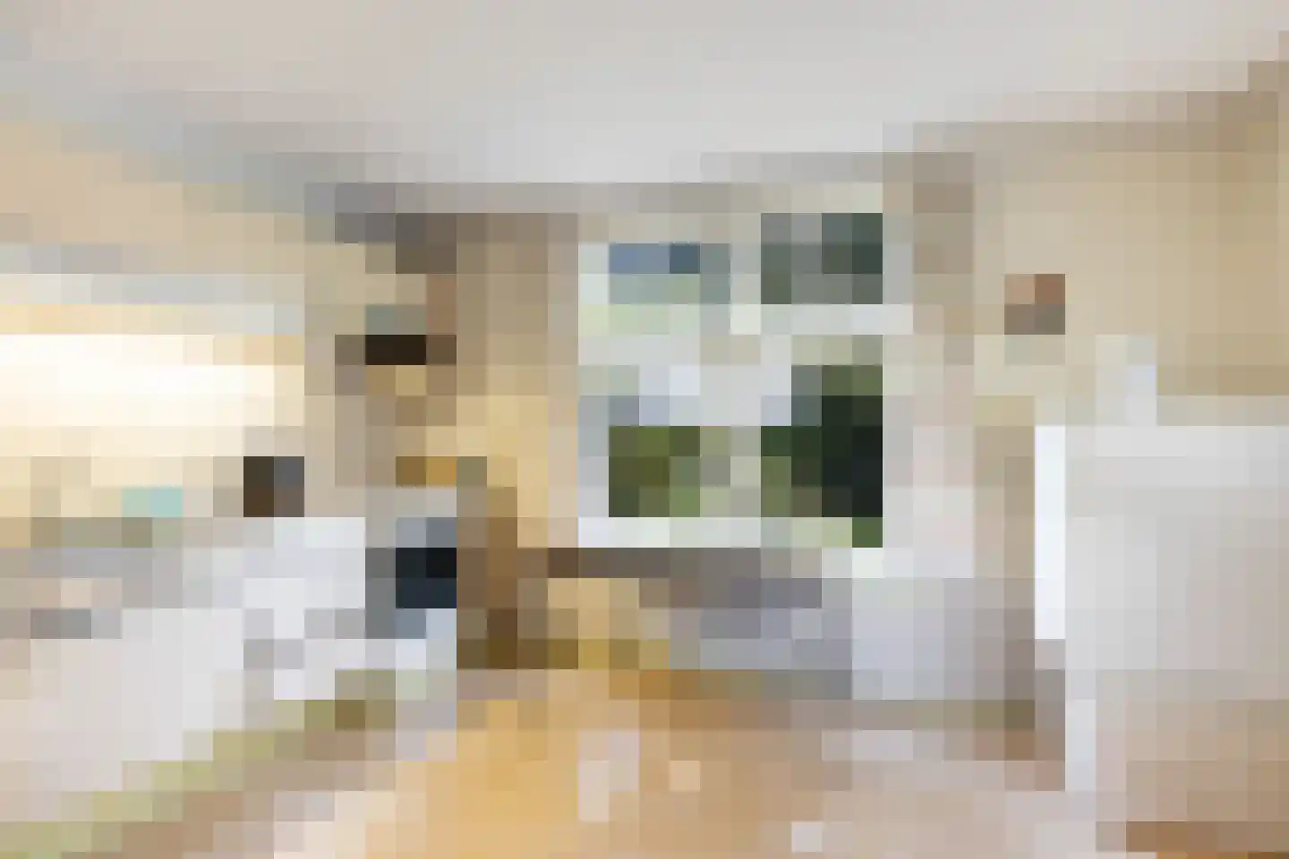 Groenedijk 20 Utrecht thumbnail 12
