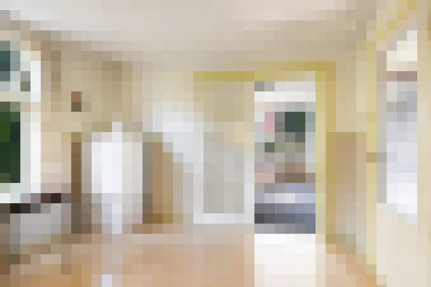 Groenedijk 20 Utrecht thumbnail 13