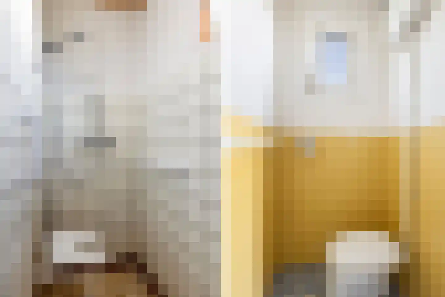 Groenedijk 20 Utrecht thumbnail 15