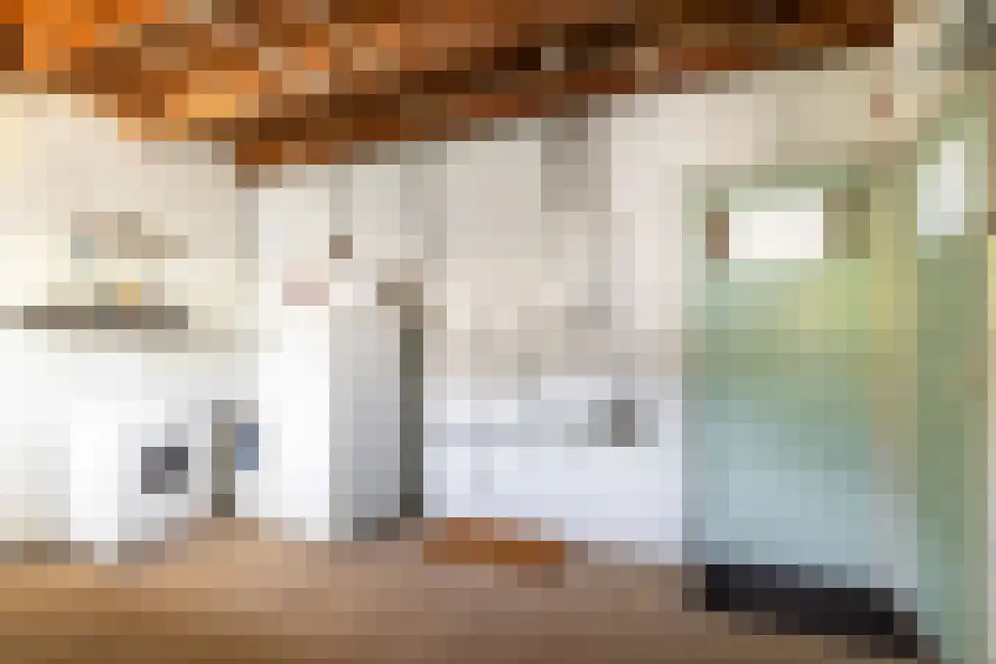 Groenedijk 20 Utrecht thumbnail 16
