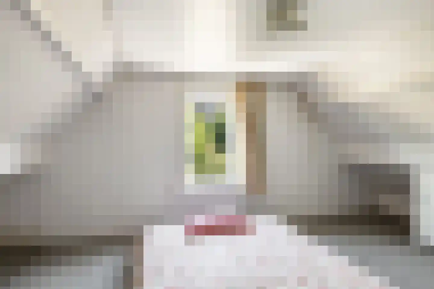 Groenedijk 20 Utrecht thumbnail 19