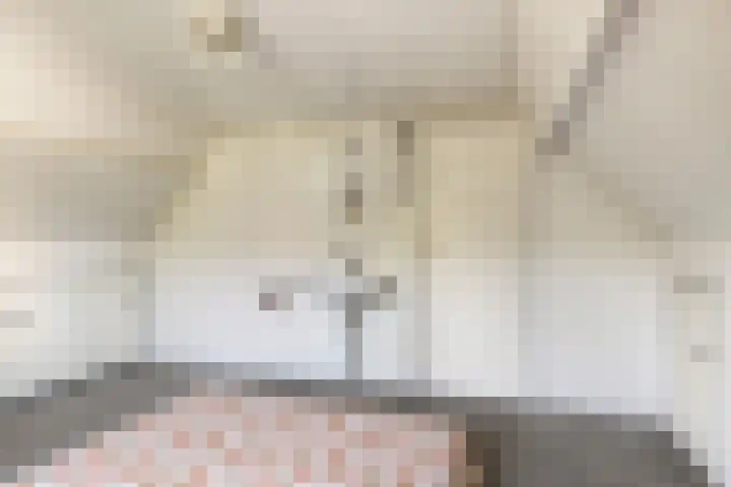 Groenedijk 20 Utrecht thumbnail 20
