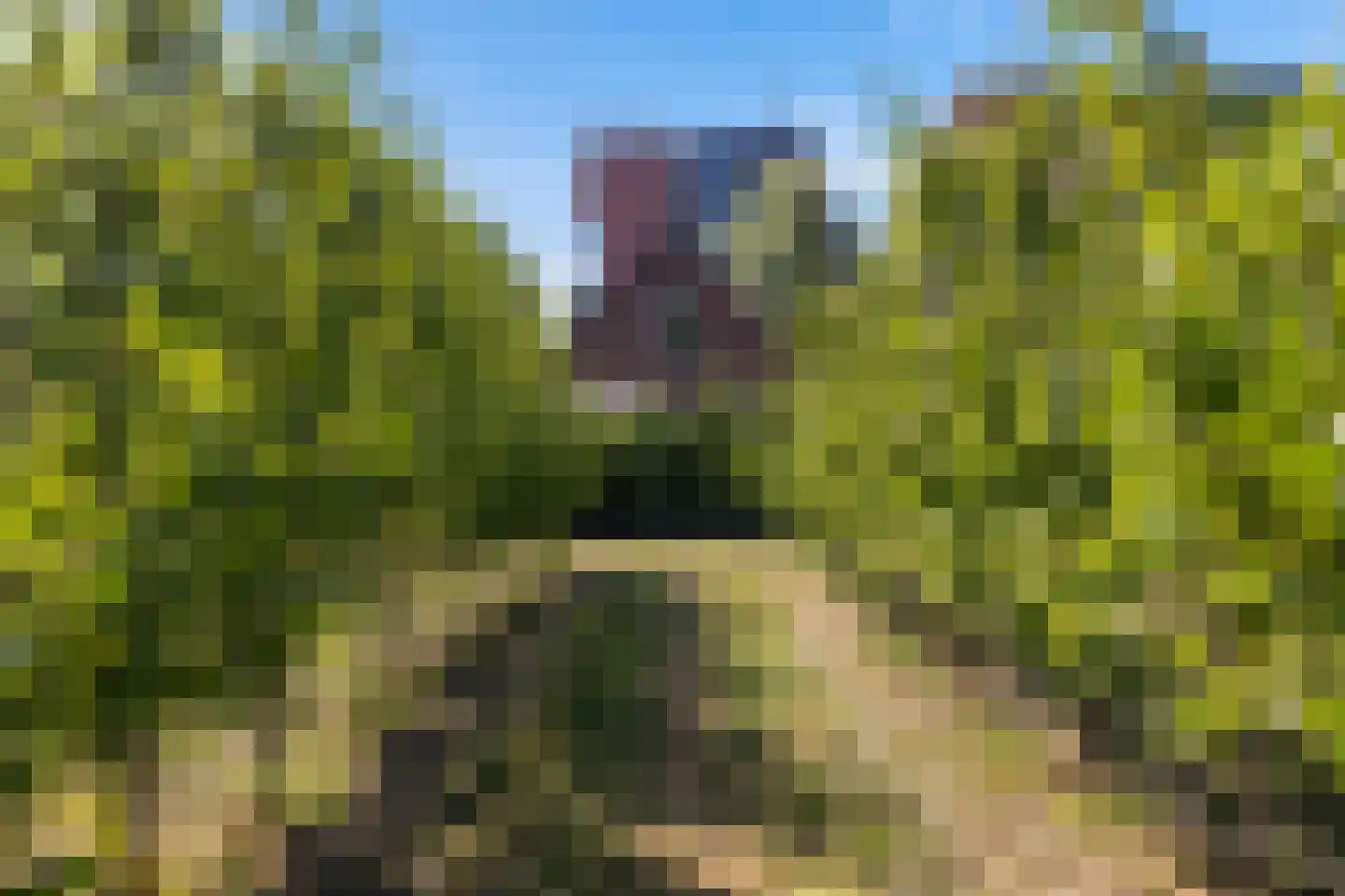 Groenedijk 20 Utrecht thumbnail 34