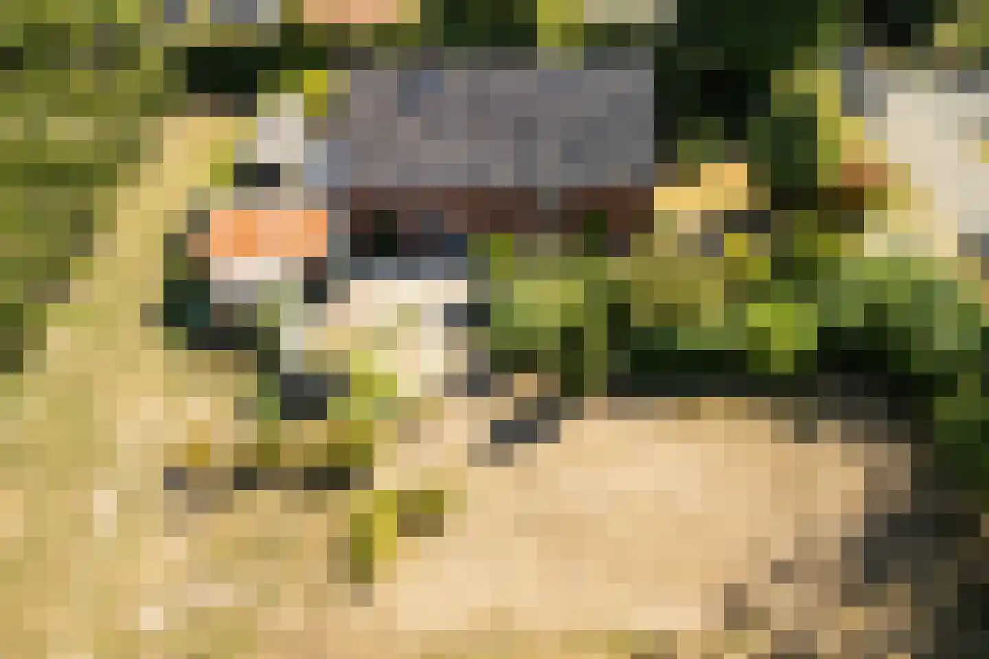 Groenedijk 20 Utrecht thumbnail 35
