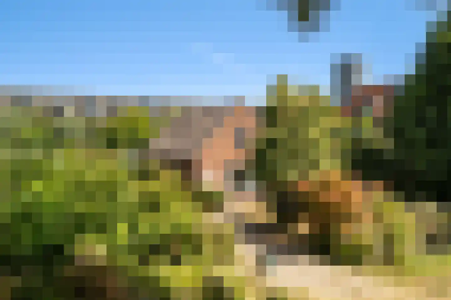 Groenedijk 20 Utrecht thumbnail 36