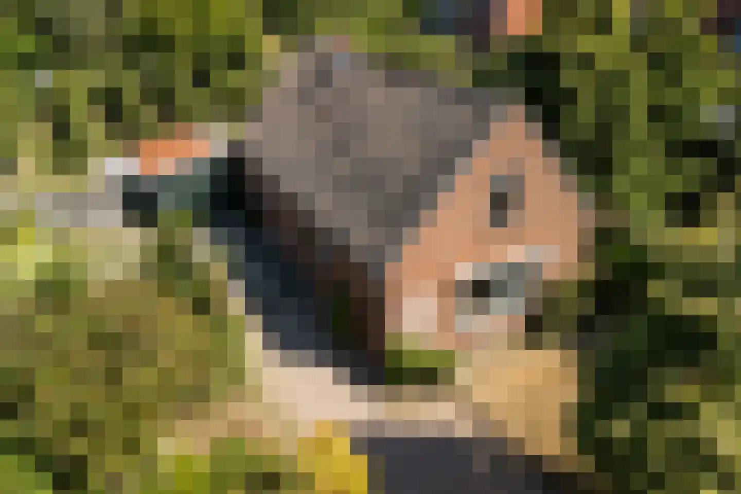 Groenedijk 20 Utrecht thumbnail 37