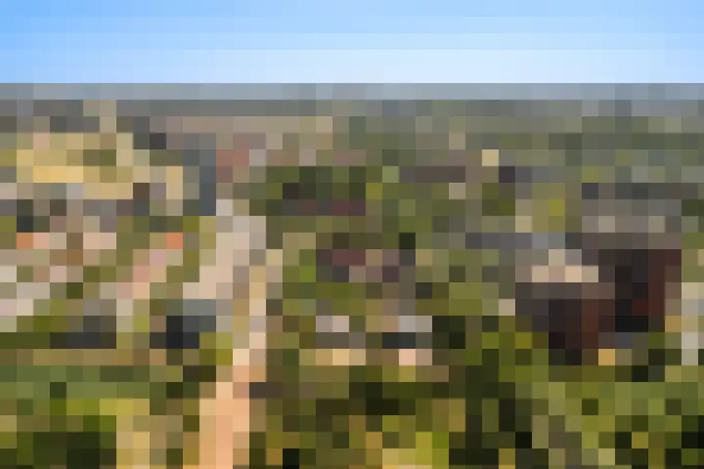 Groenedijk 20 Utrecht thumbnail 38