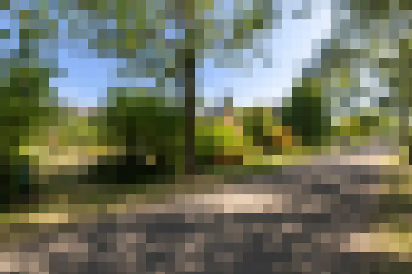 Groenedijk 20 Utrecht thumbnail 39