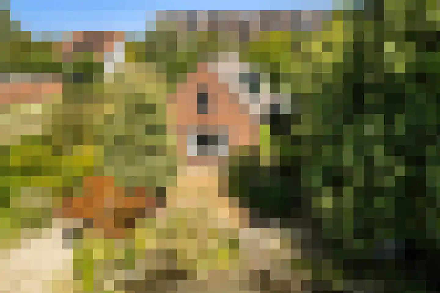Groenedijk 20 Utrecht thumbnail 4