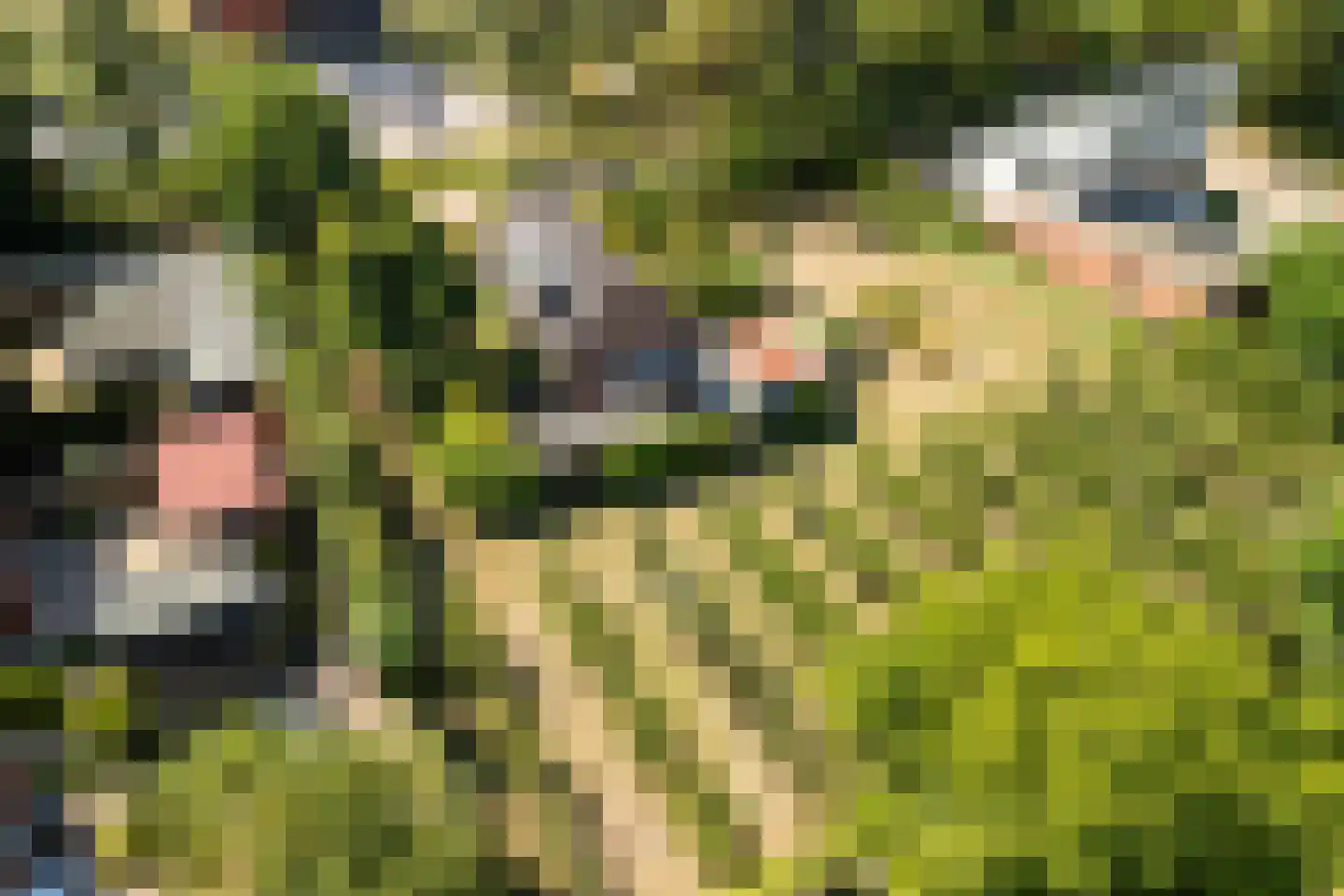 Groenedijk 20 Utrecht thumbnail 5