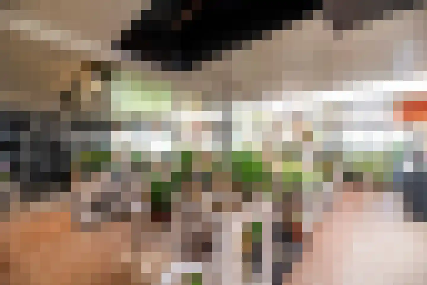 Groenedijk 3 Tiel thumbnail 14