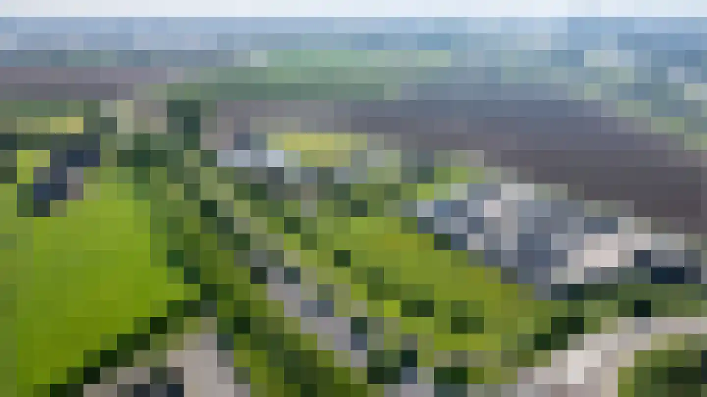 Groenedijk 3 Tiel thumbnail 4