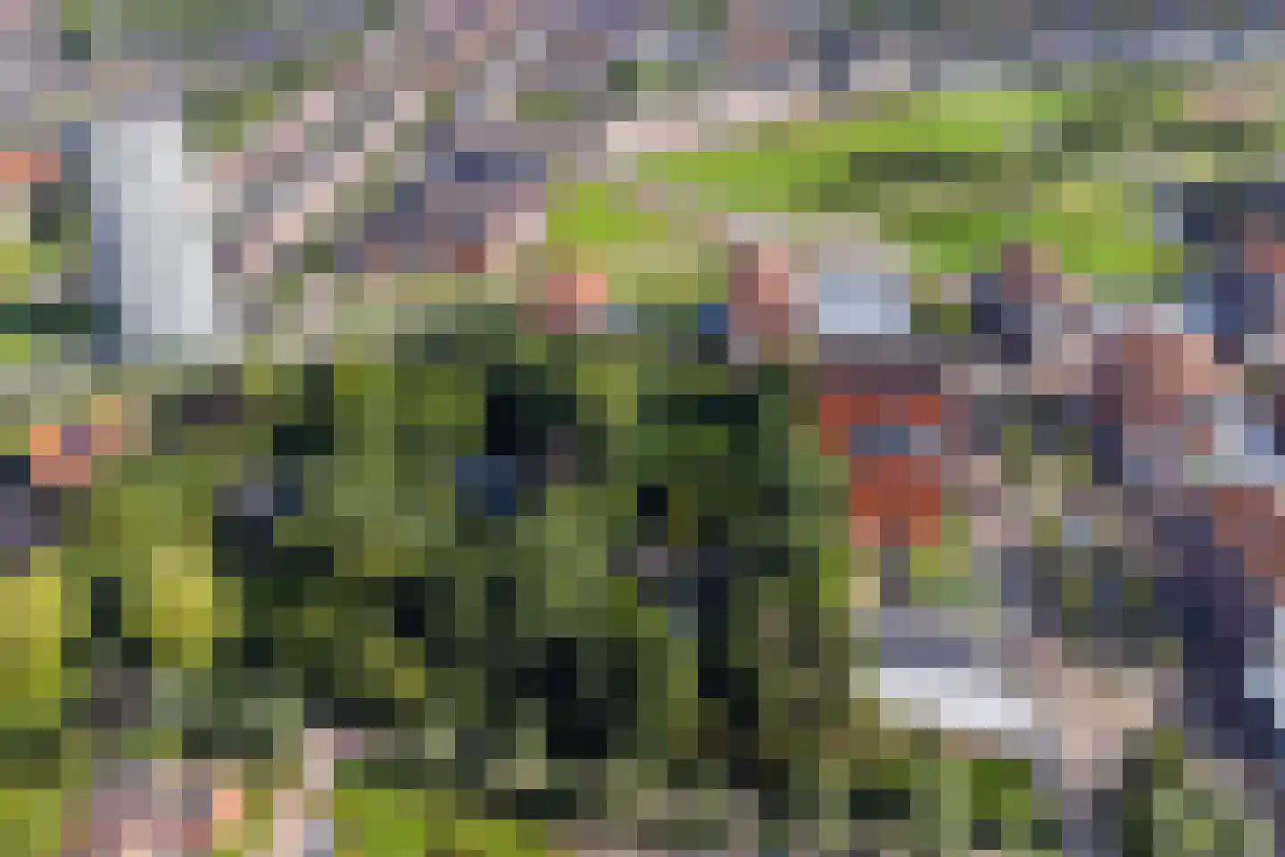 Groenedijk 30 Utrecht thumbnail 10