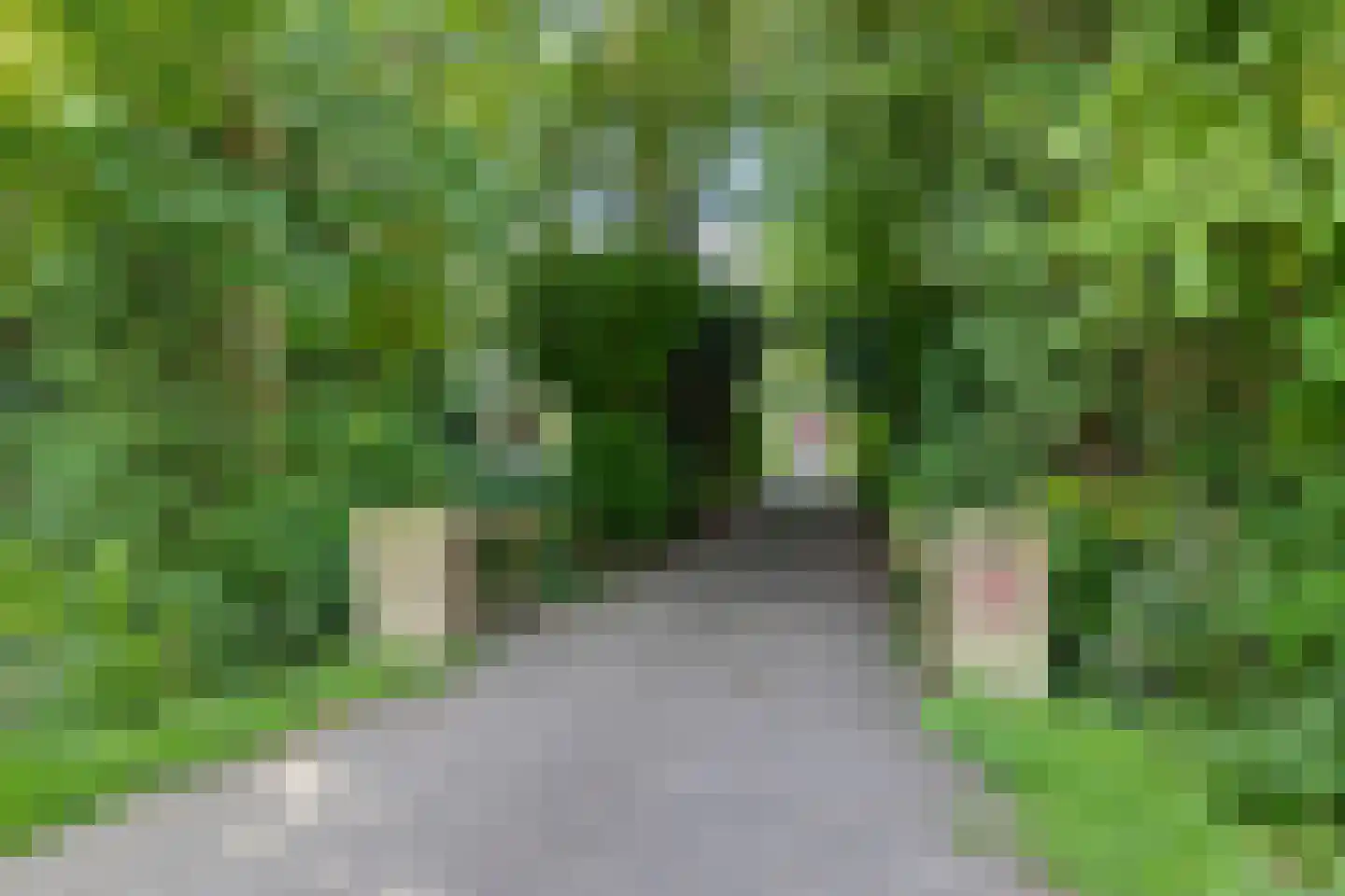Groenedijk 30 Utrecht thumbnail 6