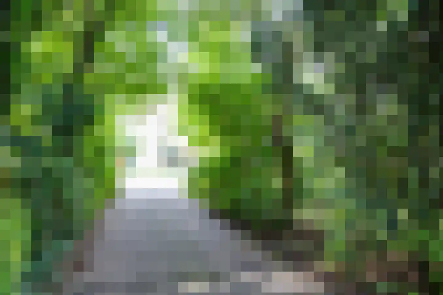 Groenedijk 30 Utrecht thumbnail 7