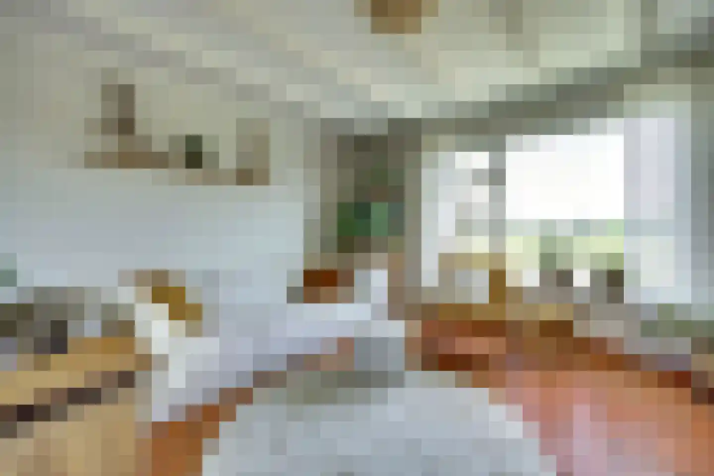 Groenedijk 35 Ovezande thumbnail 15