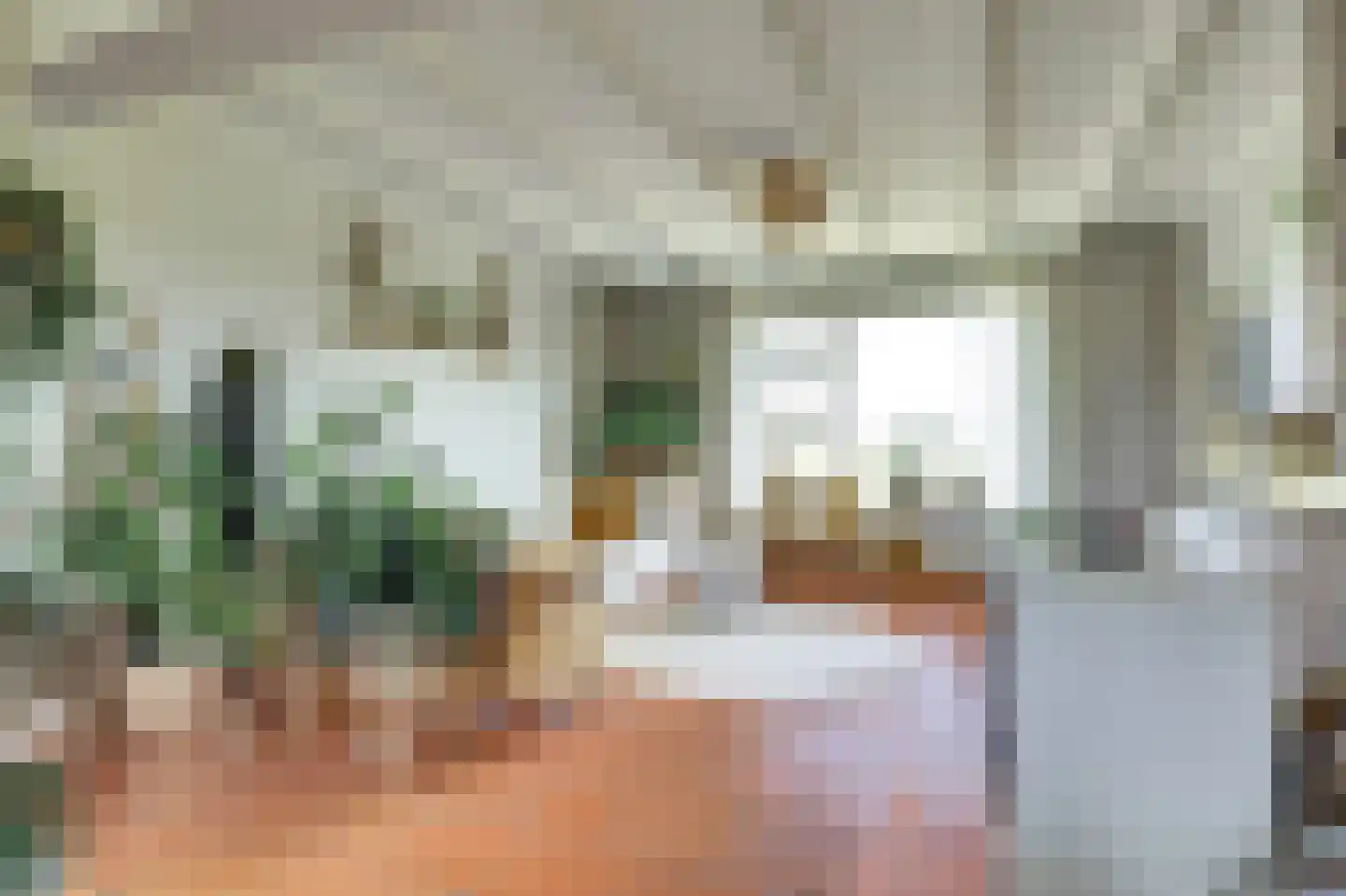 Groenedijk 35 Ovezande thumbnail 16