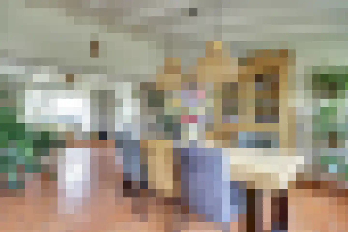 Groenedijk 35 Ovezande thumbnail 17