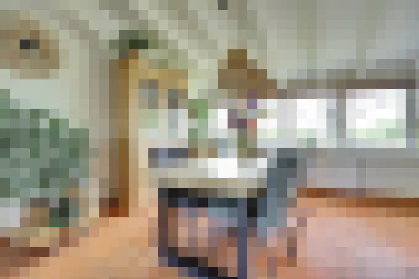 Groenedijk 35 Ovezande thumbnail 18