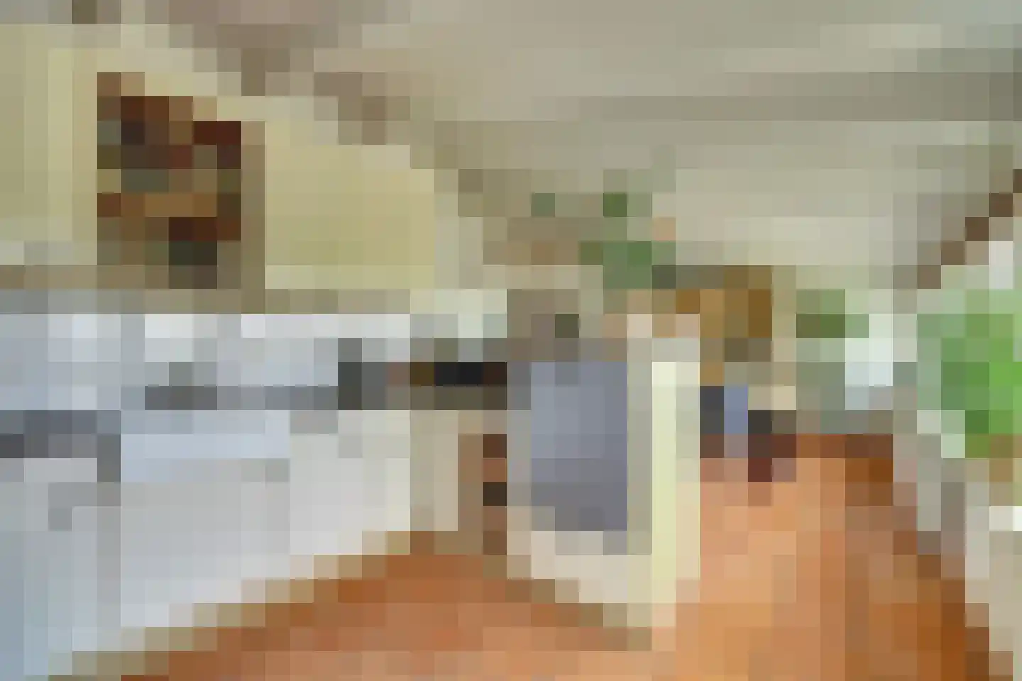 Groenedijk 35 Ovezande thumbnail 22