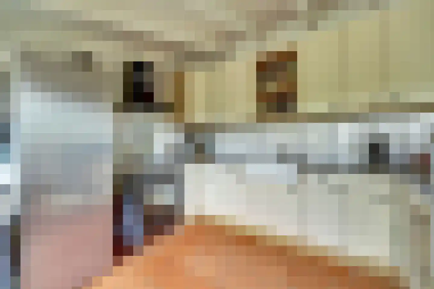 Groenedijk 35 Ovezande thumbnail 23