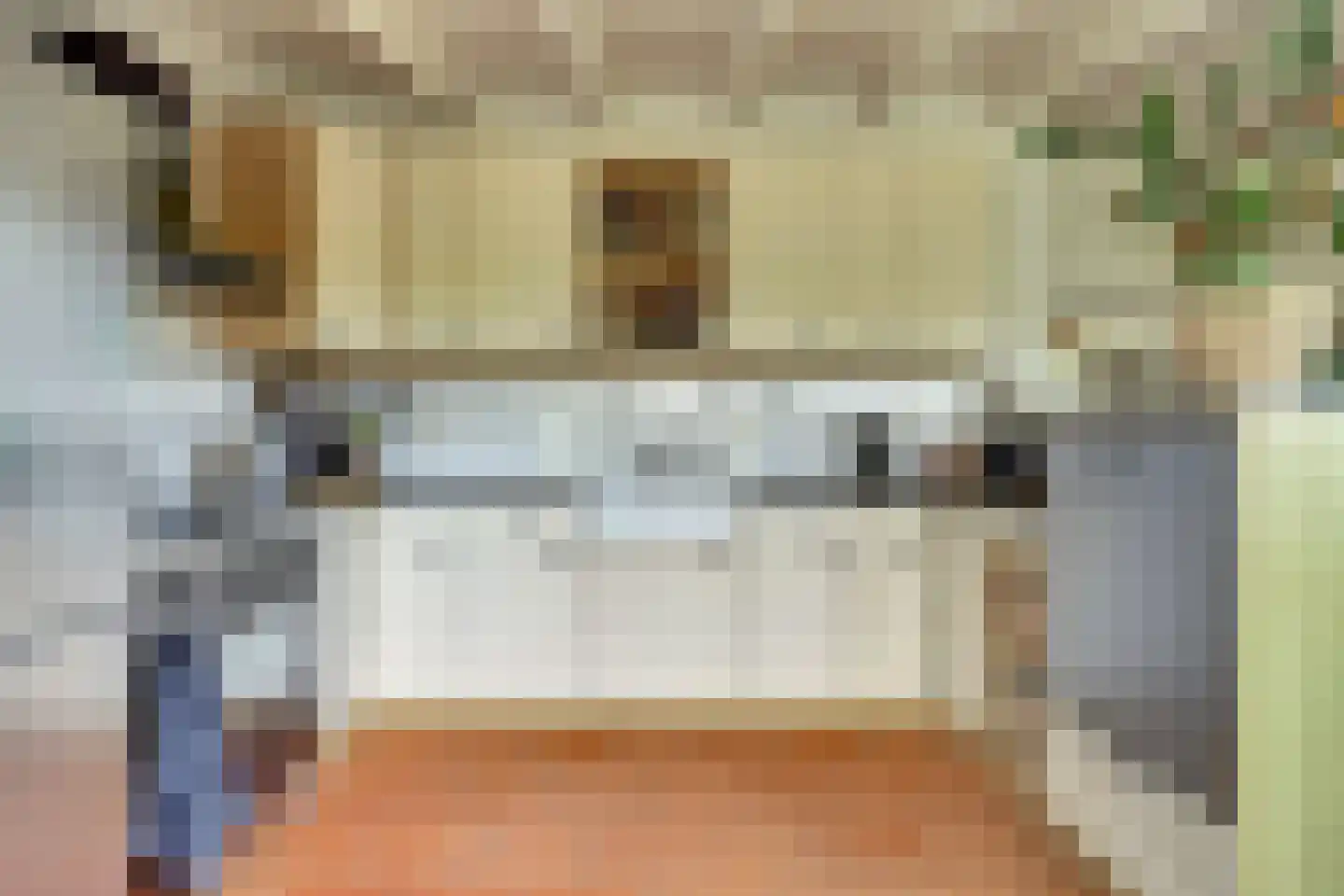 Groenedijk 35 Ovezande thumbnail 25