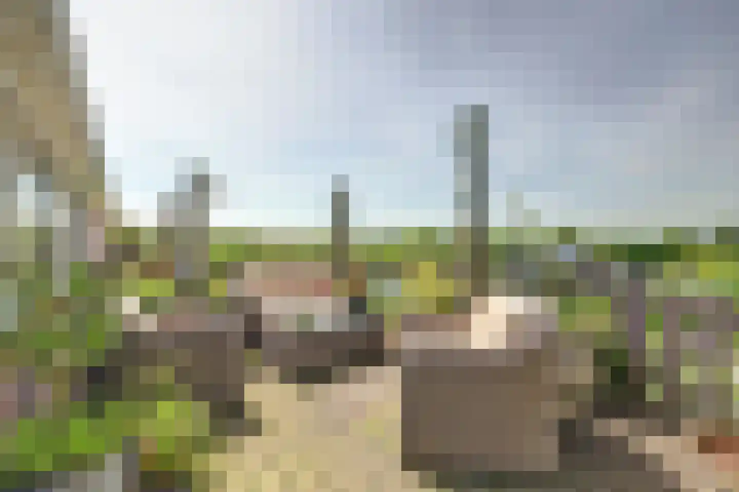 Groenedijk 35 Ovezande thumbnail 26