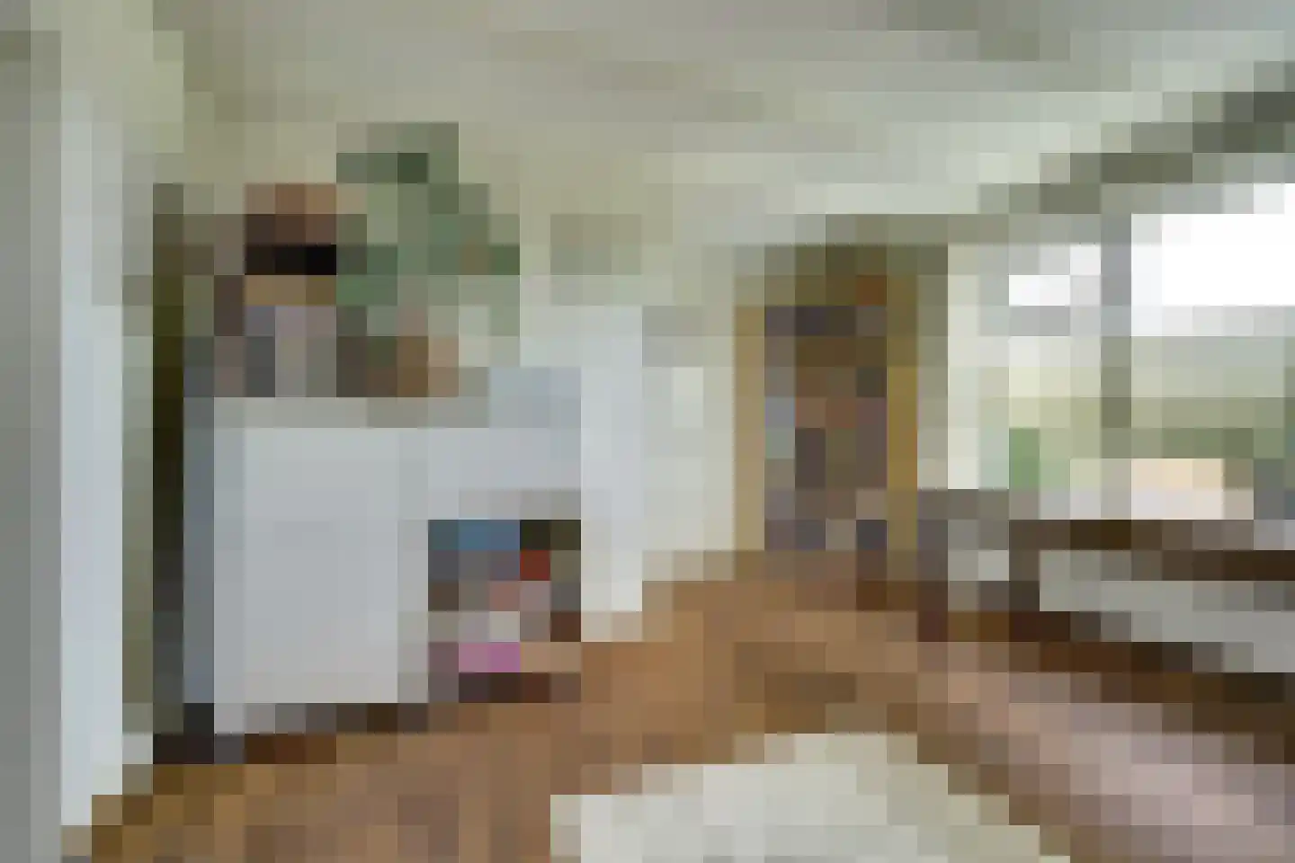 Groenedijk 35 Ovezande thumbnail 31