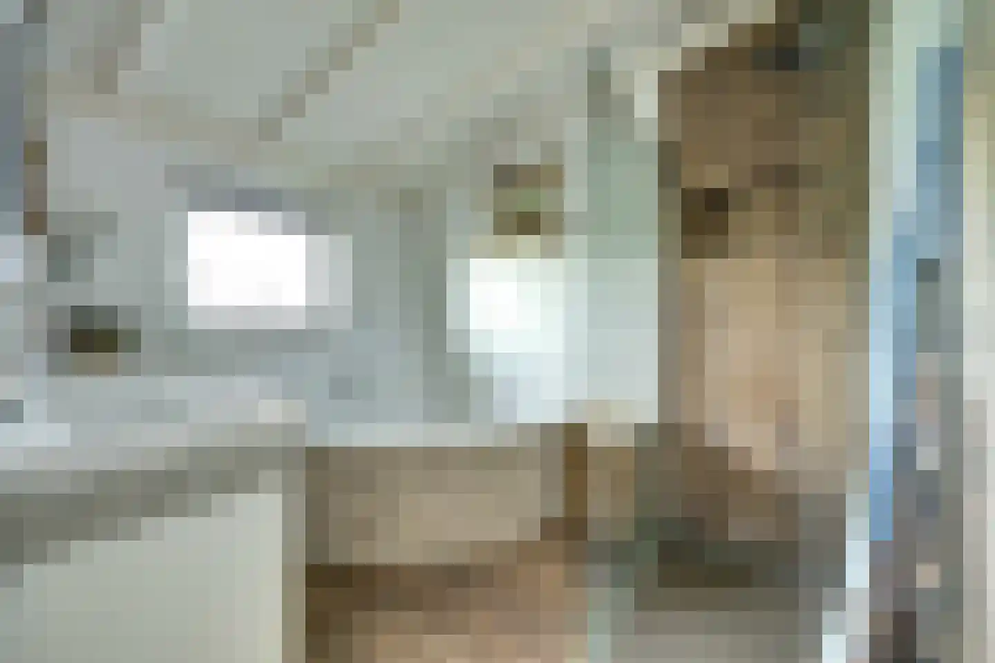 Groenedijk 35 Ovezande thumbnail 35