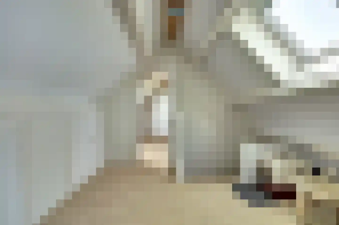 Groenedijk 35 Ovezande thumbnail 37