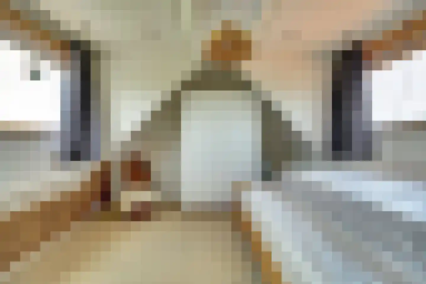 Groenedijk 35 Ovezande thumbnail 40