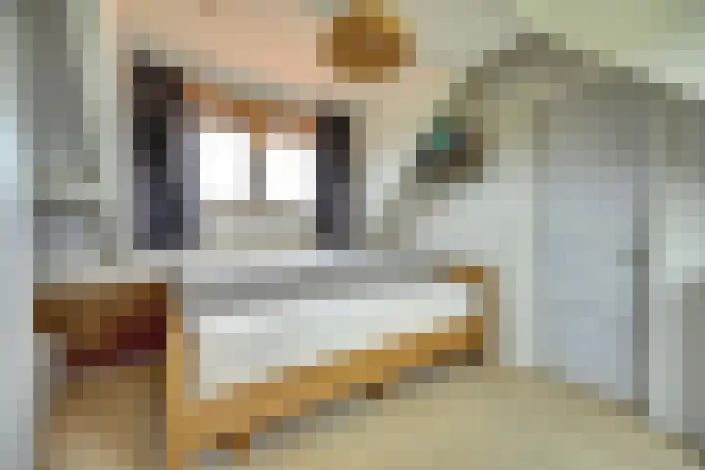 Groenedijk 35 Ovezande thumbnail 41