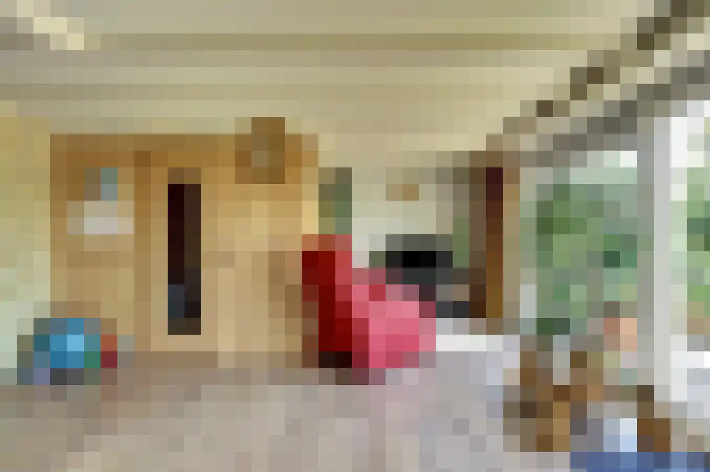 Groenedijk 35 Ovezande thumbnail 43