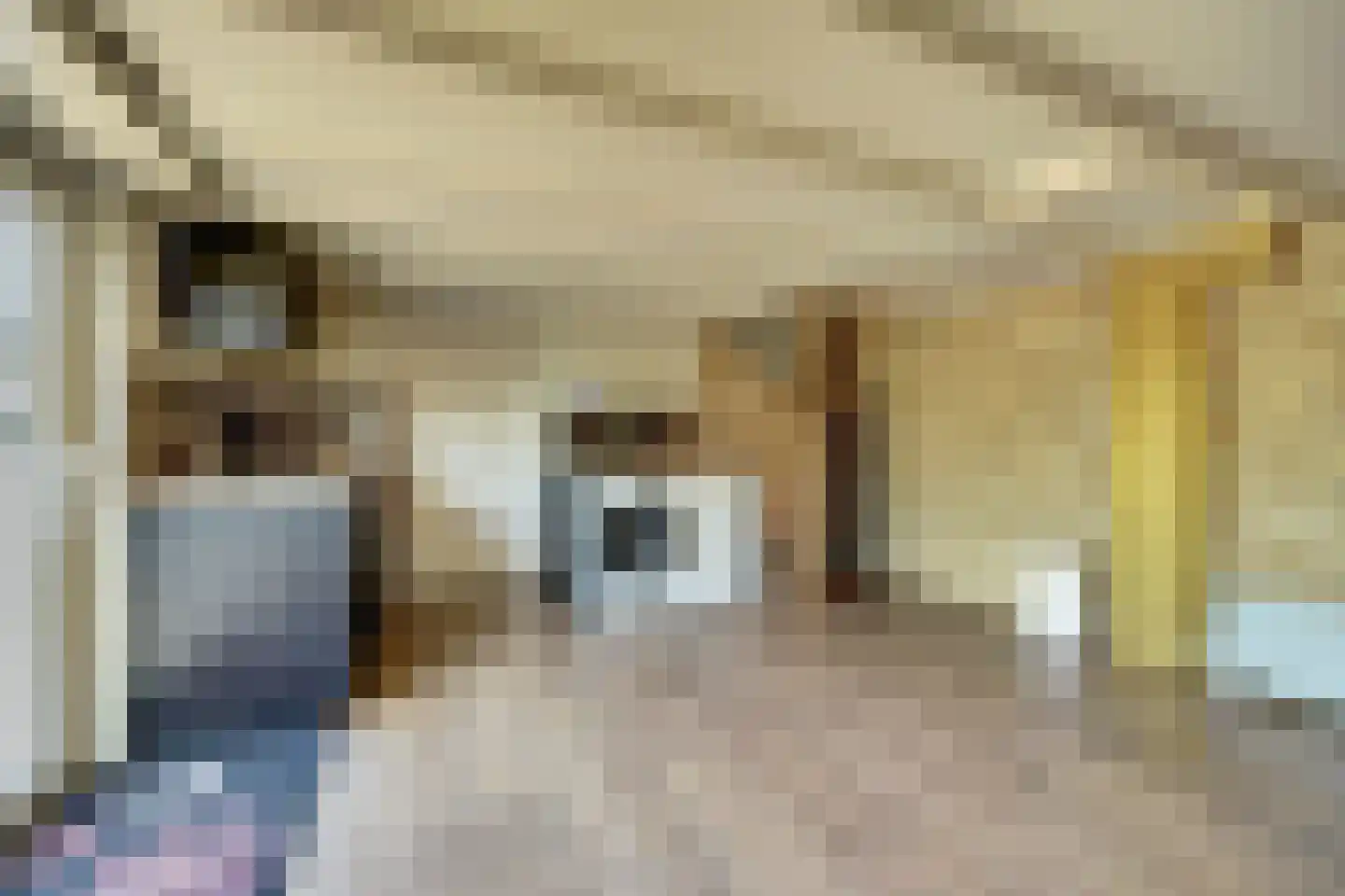Groenedijk 35 Ovezande thumbnail 45