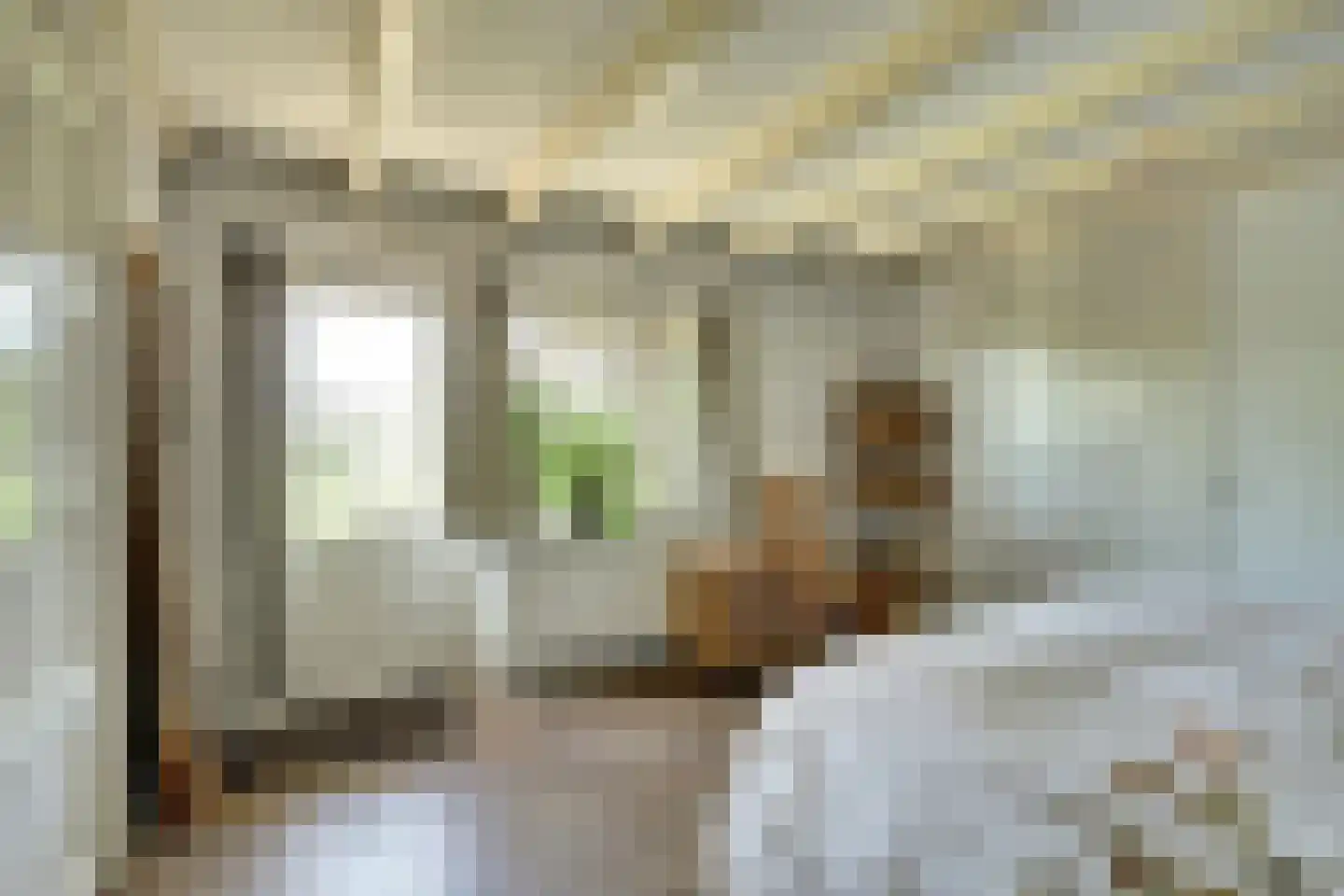 Groenedijk 35 Ovezande thumbnail 47