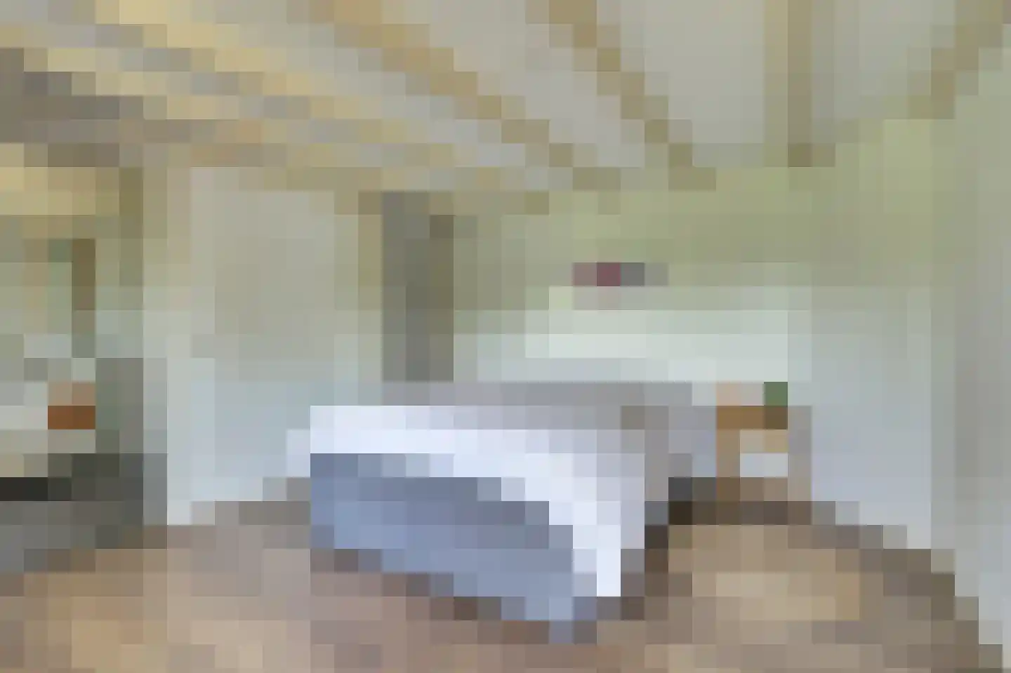 Groenedijk 35 Ovezande thumbnail 48