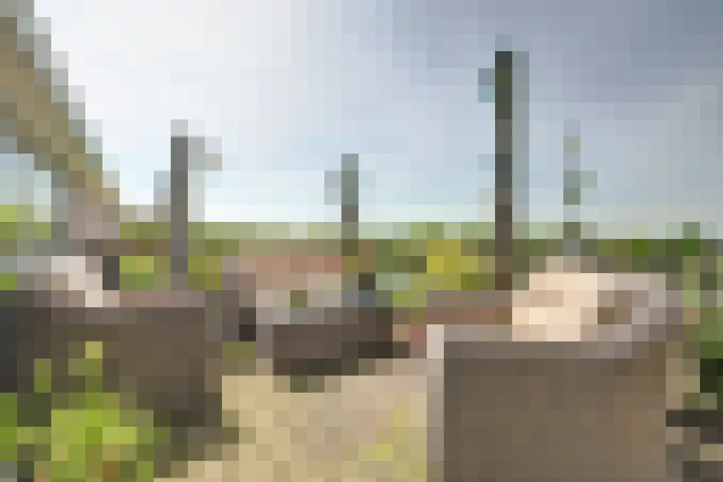 Groenedijk 35 Ovezande thumbnail 51