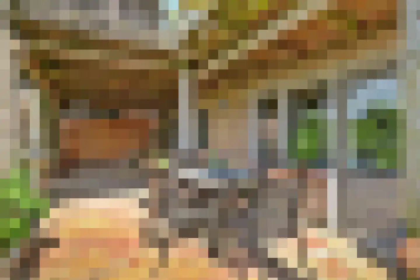 Groenedijk 35 Ovezande thumbnail 53