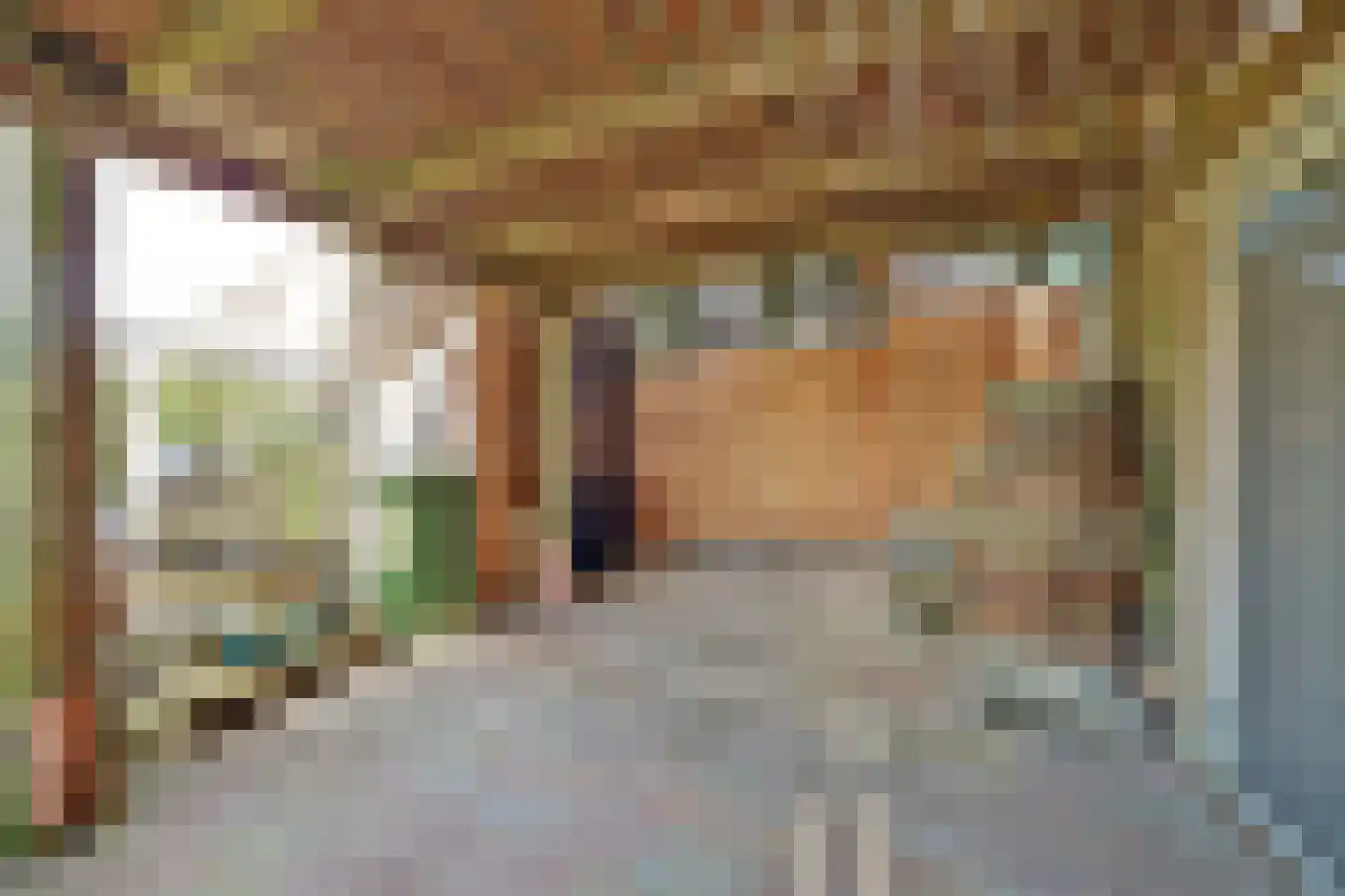 Groenedijk 35 Ovezande thumbnail 55
