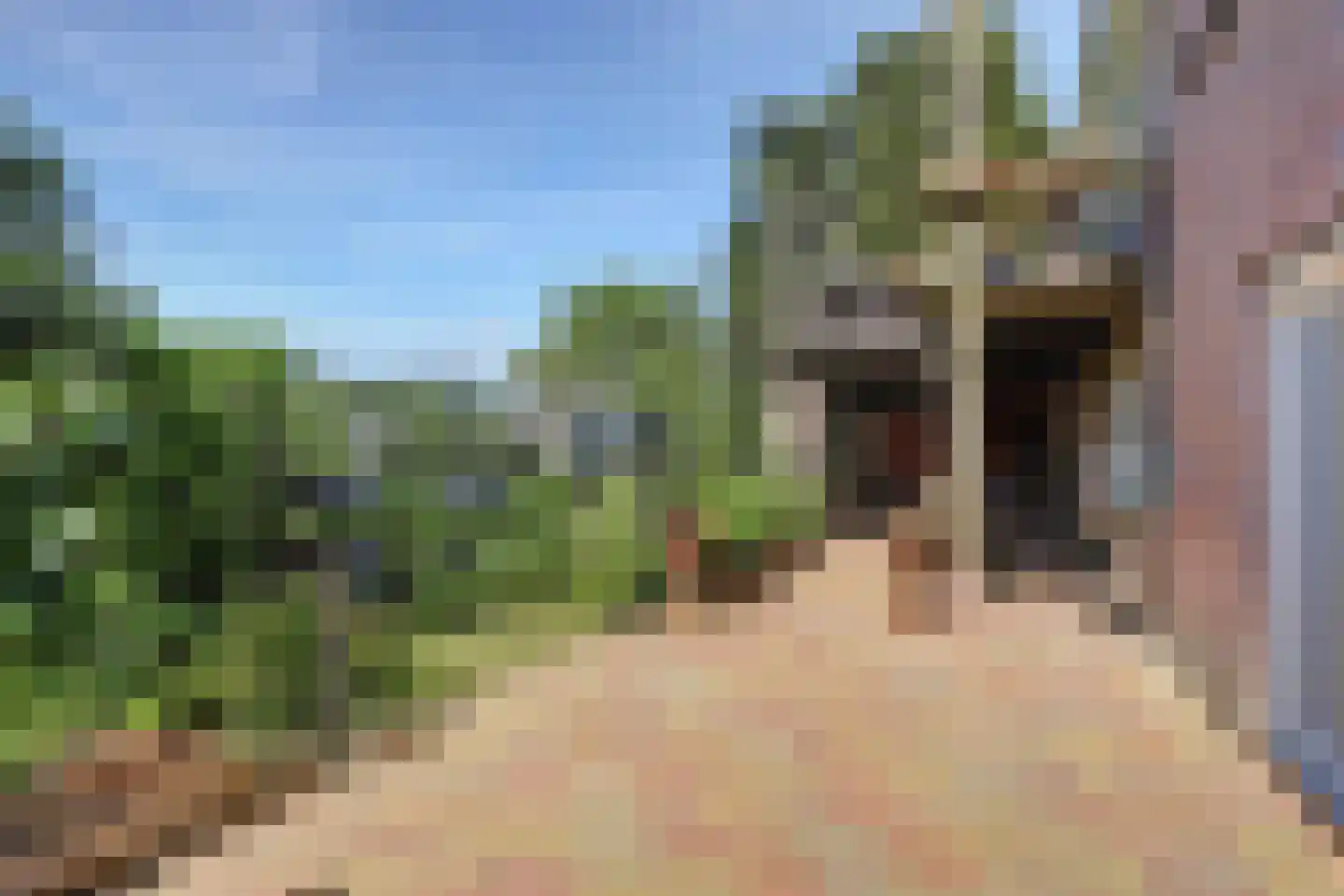 Groenedijk 35 Ovezande thumbnail 57