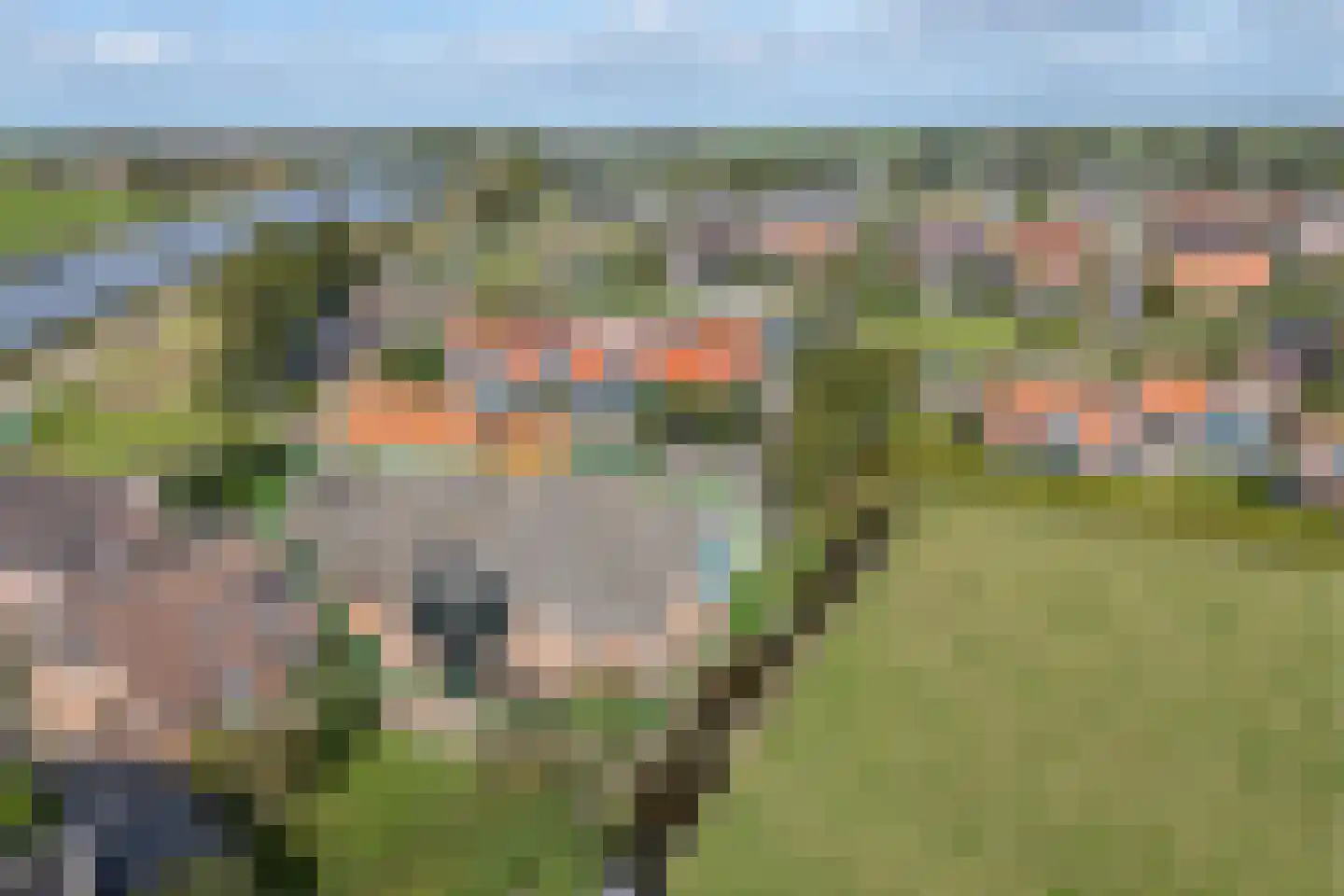 Groenedijk 4 Oost-Graftdijk thumbnail 40
