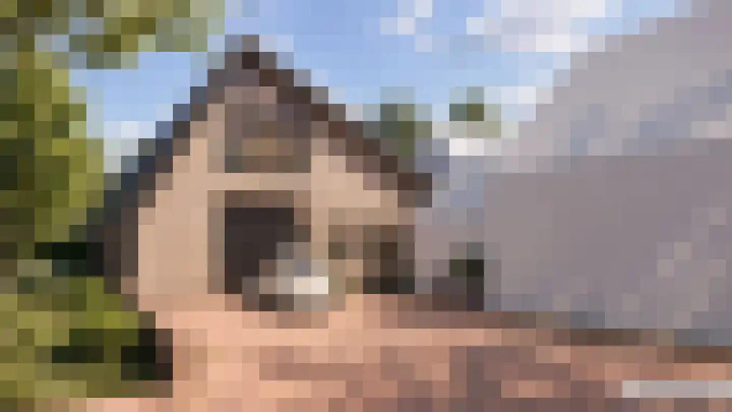 Groenedijk 4 Oost-Graftdijk thumbnail 47
