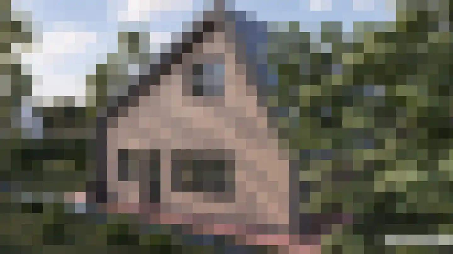Groenedijk 4 Oost-Graftdijk thumbnail 49