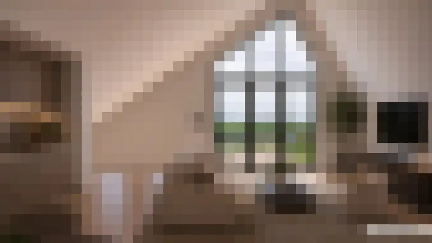 Groenedijk 4 Oost-Graftdijk thumbnail 52