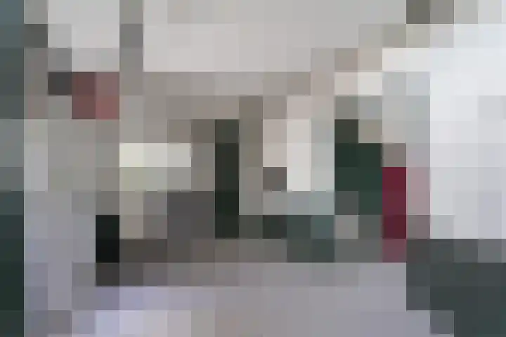 Groenedijk 43 Ovezande thumbnail 18