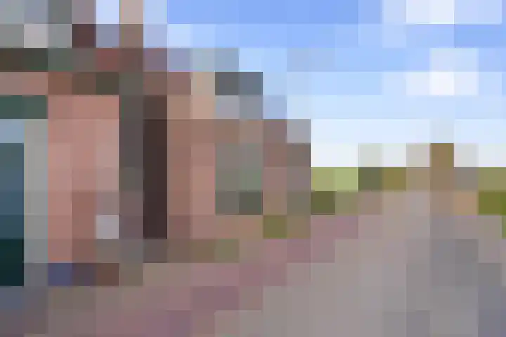Groenedijk 43 Ovezande thumbnail 22